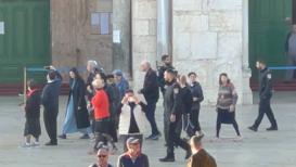 صور من اقتحام المستوطنين للمسجد الأقصى