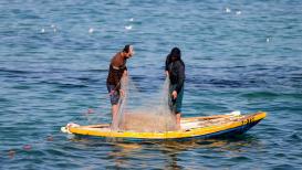 صور من الحياة اليومية من مخيم الشاطئ غرب مدينة غزة صباح اليوم