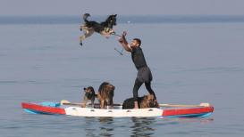 المدرب الفلسطيني خباب السحلوب ٣٤ عاماً يدرب الكلاب في أكايمية لتدريب الكلاب