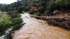 واد الزرقا في قرية بيتللو غرب رام الله بعد تساقط الأمطار عليه خلال المنخفض الجوي