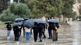 صور من اقتحام المستوطنين للمسجد الأقصى