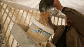 سكان غزة يطحنون أعلاف الحيوانات للحصول على الطعام!