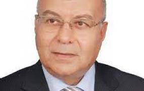محمد السعيد إدريس.jpg