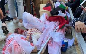 صورة رمزية لوقفات مناهضة للاحتلال في واشنطن