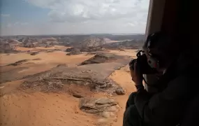 السعودية.webp
