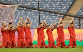 المنتخب الفدائي
