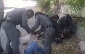 اعتقال فتاتين بحي الشيخ جراح