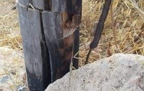مستوطنون يقطعون أحد أعمدة الكهرباء
