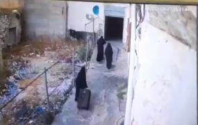 السطو على محل مجوهرات.JPG