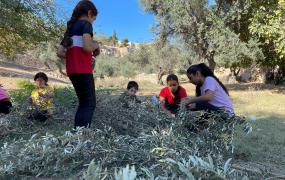 وادي الربابة 7.jpg