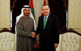 ابن زايد واردوغان.png