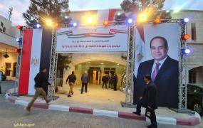 المشاريع المصرية