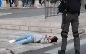 استشهاد شاب باب العامود (1).jpg