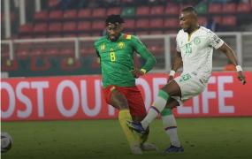 الكاميرون