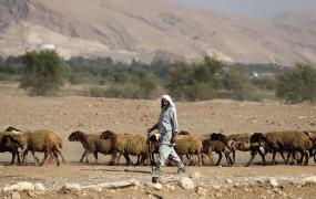 صورة تعبيرية