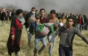 صورة أرشيفية