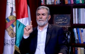 زياد النخالة