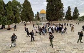 مستوطنون يقتحمون المسجد الأقصى