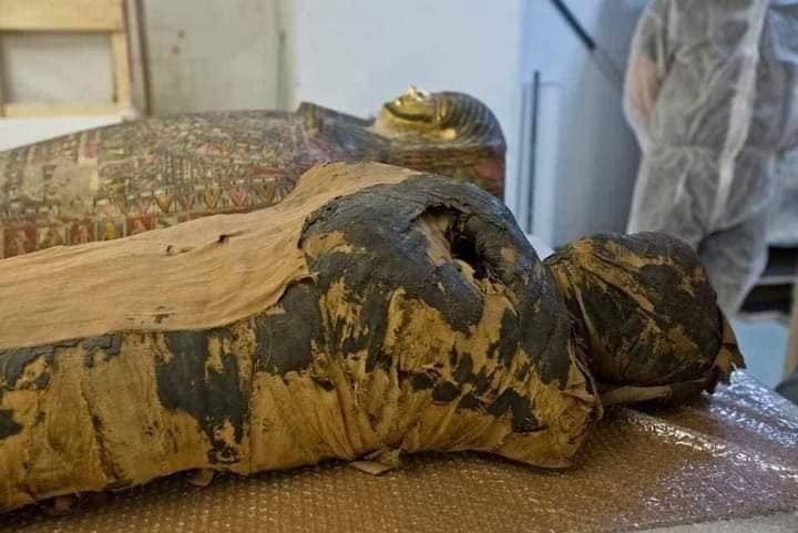 مومياء 3.jpg