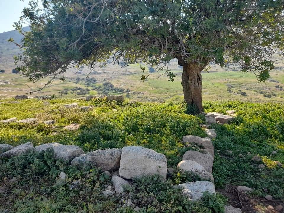 قرية يرزا 3.jpg