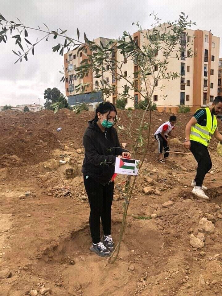 hjJlk.jpg