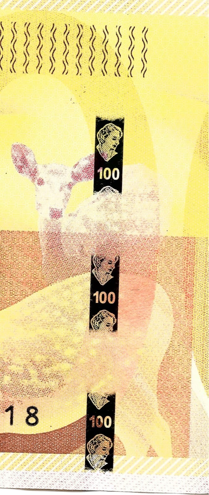 218366400_1988414434650913_8860651641991322383_n.jpg