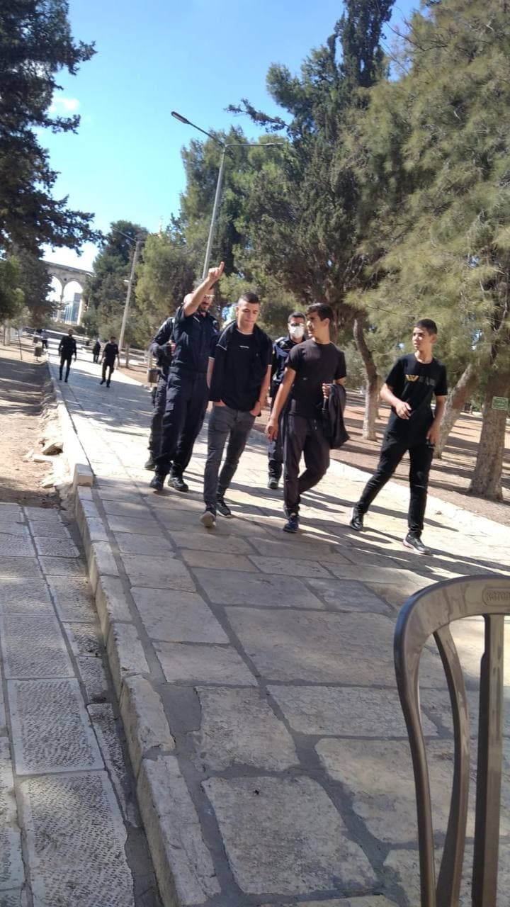 اقتحامات المستوطنين (1).jpg