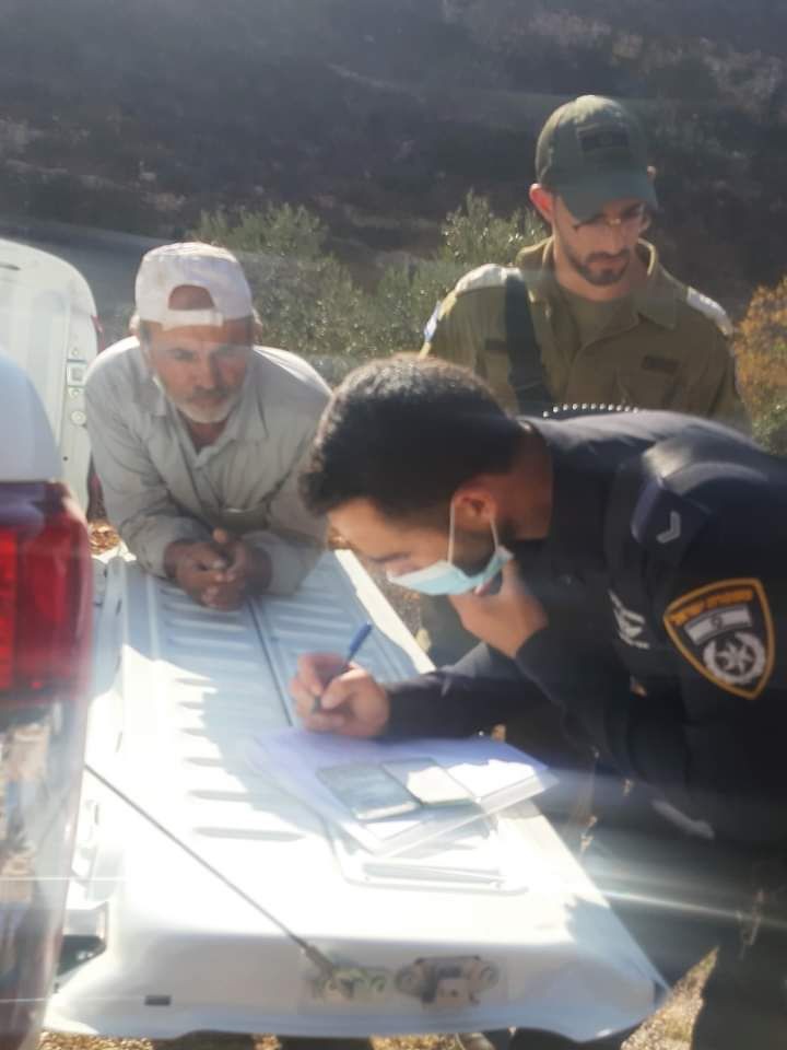 الاعتداء على موسم الزيتون نابلس (3).jpeg