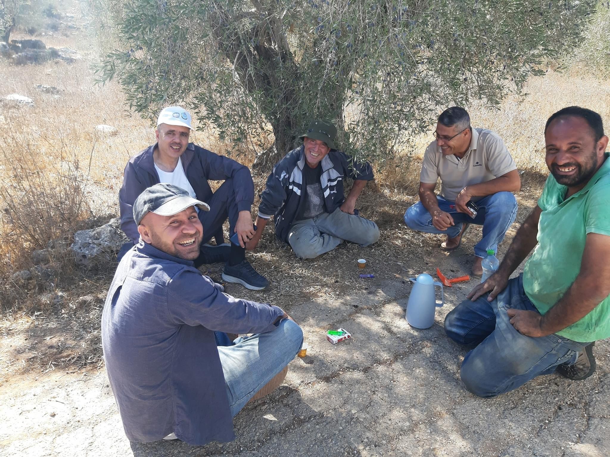 الاعتداء على موسم الزيتون نابلس (1).jpeg