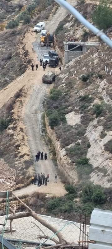 هدم نحالين (2).jpeg