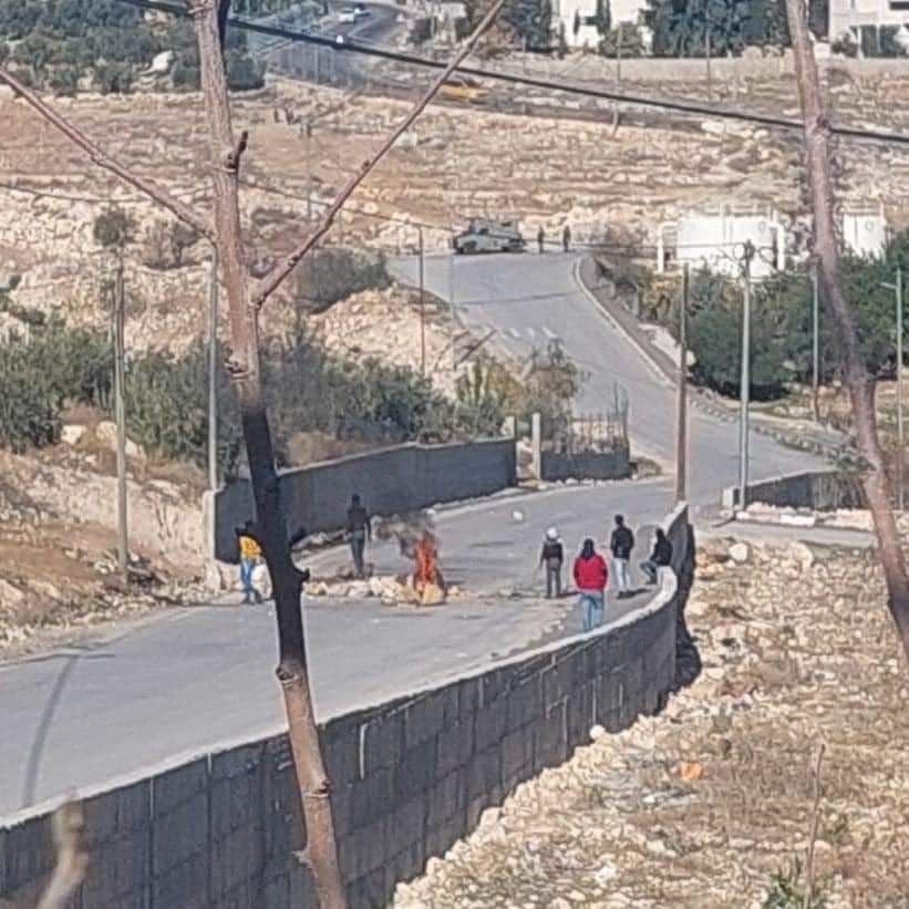 مواجهات تقوع (2).jpg