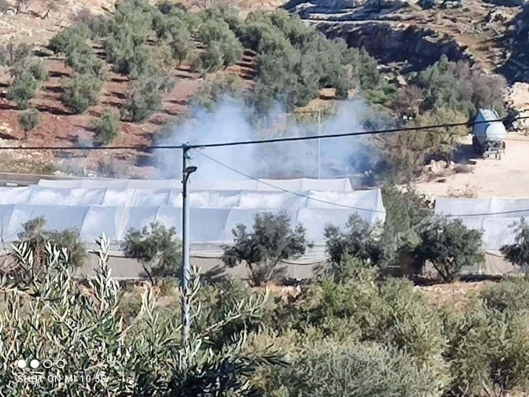 مواجهات تقوع (3).jpg