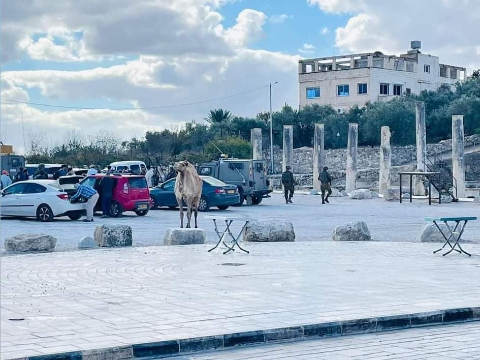 اقتحام سبسطية (3).jpeg