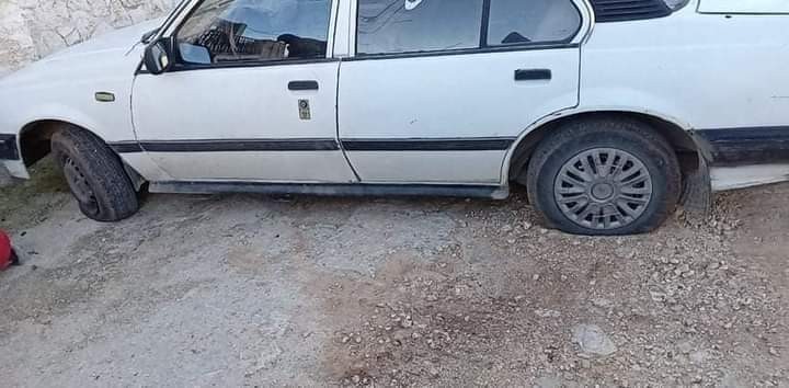 اعتداءات مستوطنين (4).jpeg