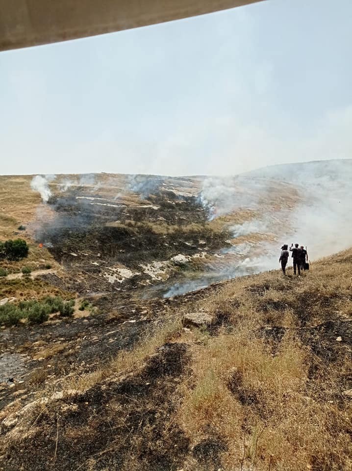بورين - حريق (2).jpg