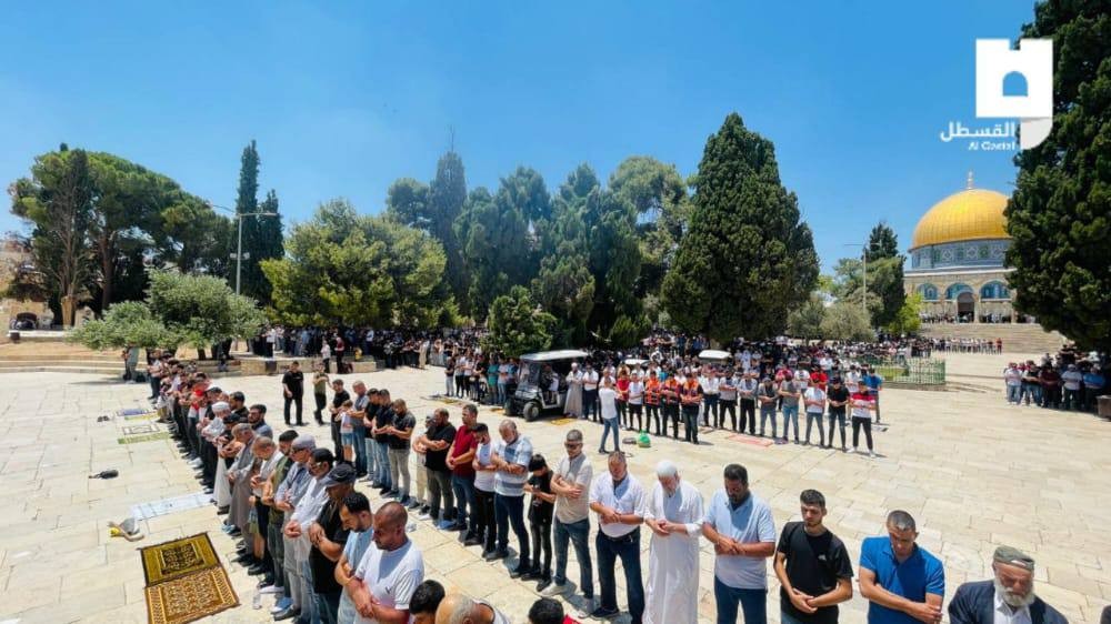 photo_2022-06-24_14-09-26 (2).jpg