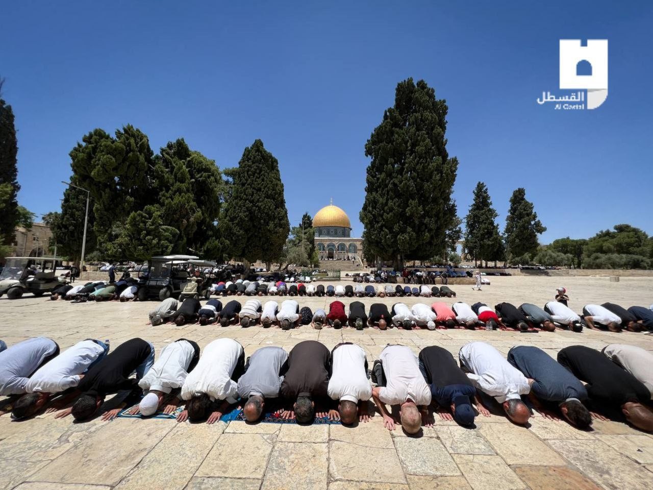 photo_2022-06-10_13-43-18 (2).jpg