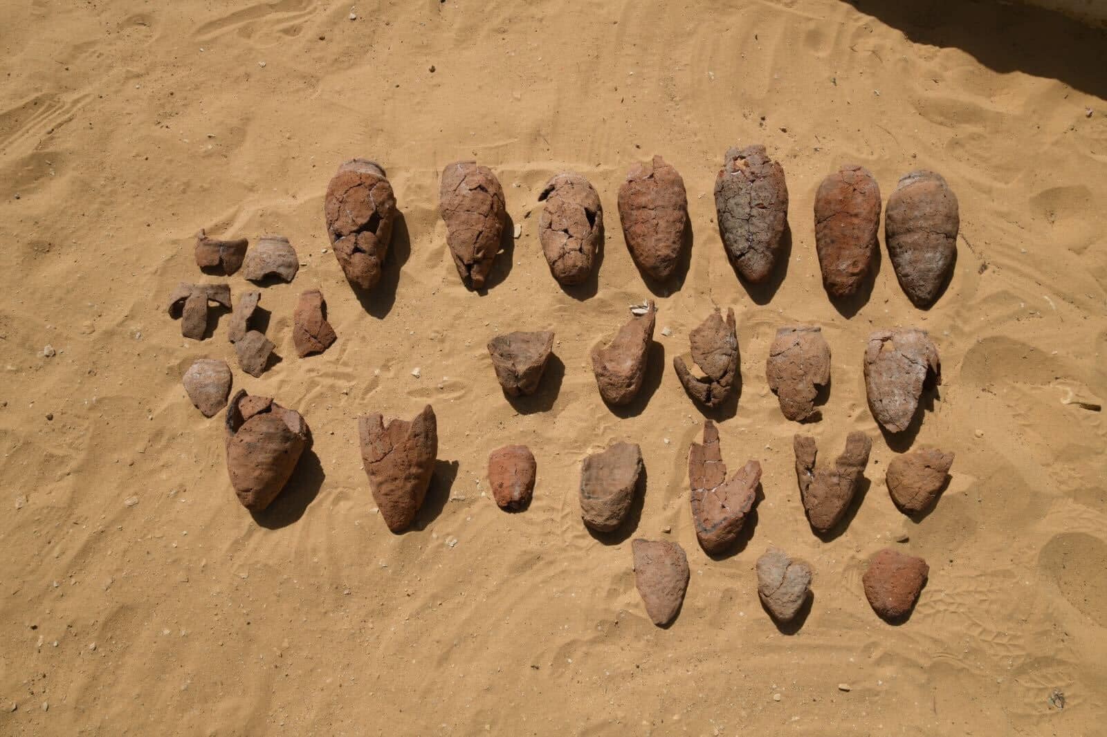 295876116_421324910029061_7279743384067285373_n.jpg