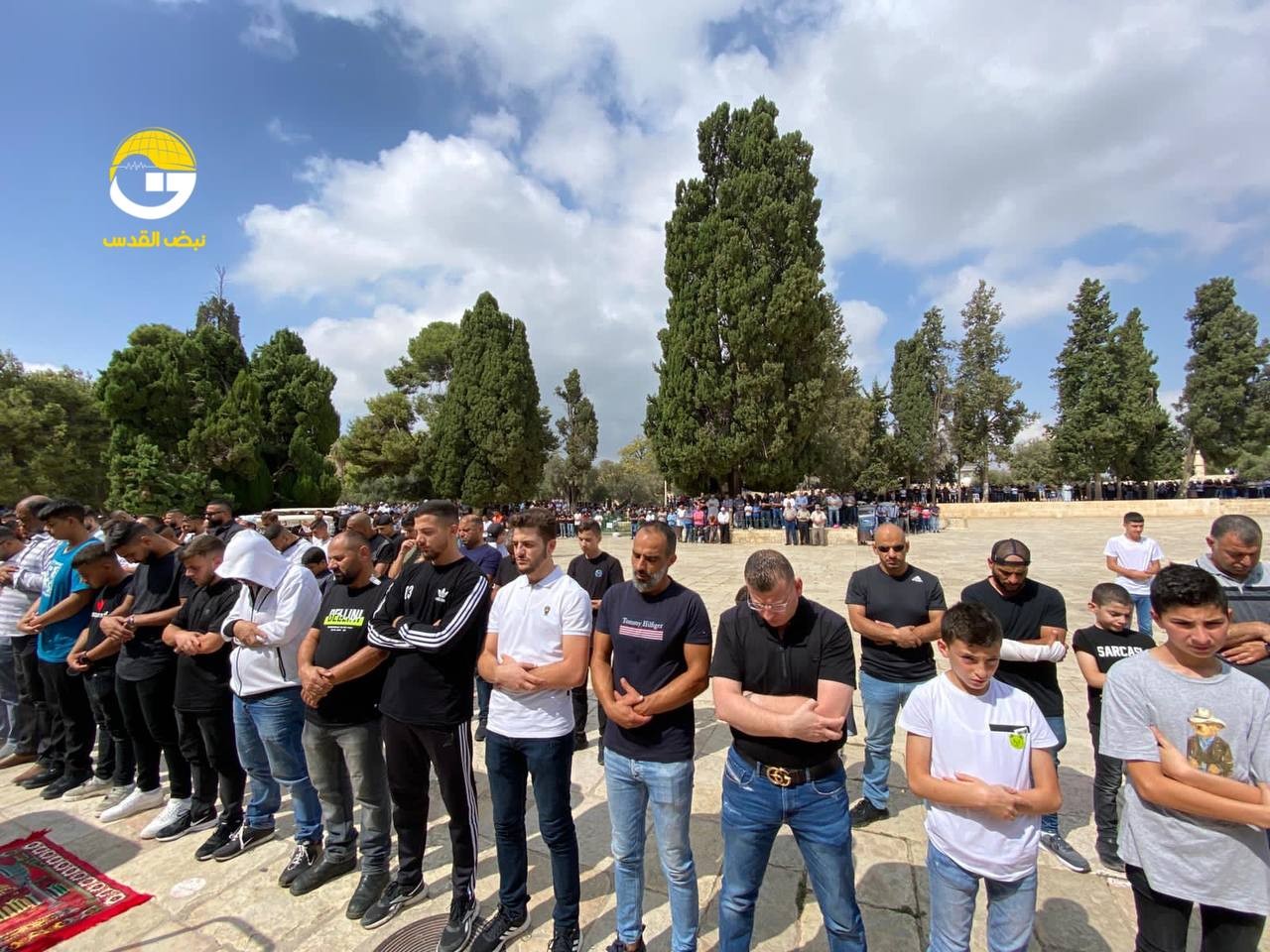 WhatsApp Image 2022-10-07 at 1.29.00 PM.jpeg