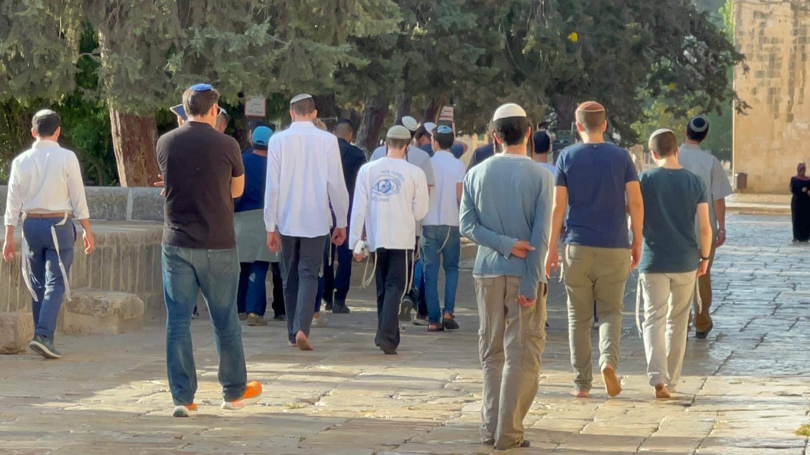 WhatsApp Image 2022-10-04 at 10.05.28 AM.jpeg