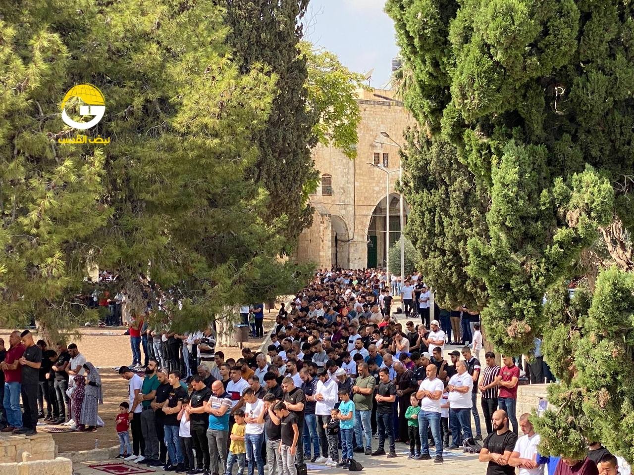 WhatsApp Image 2022-10-07 at 1.28.55 PM.jpeg