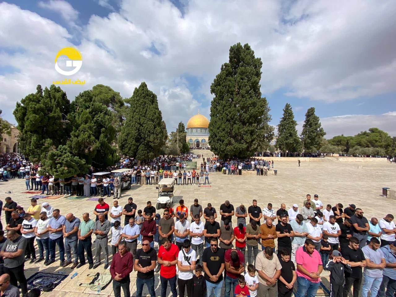 WhatsApp Image 2022-10-07 at 1.29.06 PM.jpeg