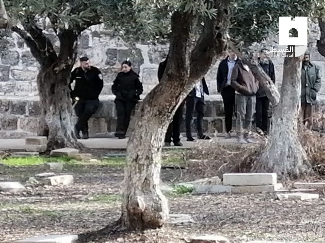 photo_2023-01-15_09-43-39 (2).jpg