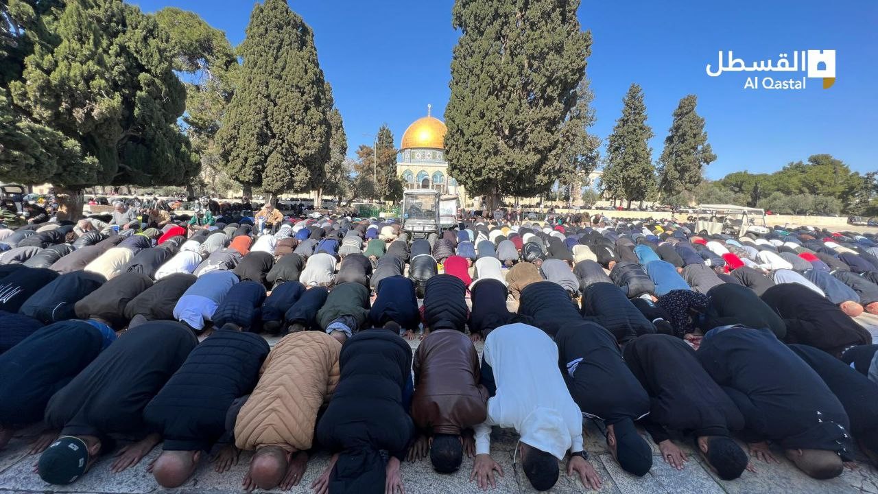 photo_2023-01-27_12-47-36 (2).jpg