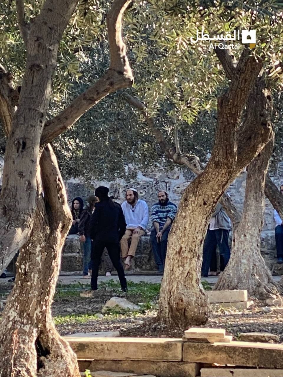 photo_2023-02-05_09-36-30 (2).jpg